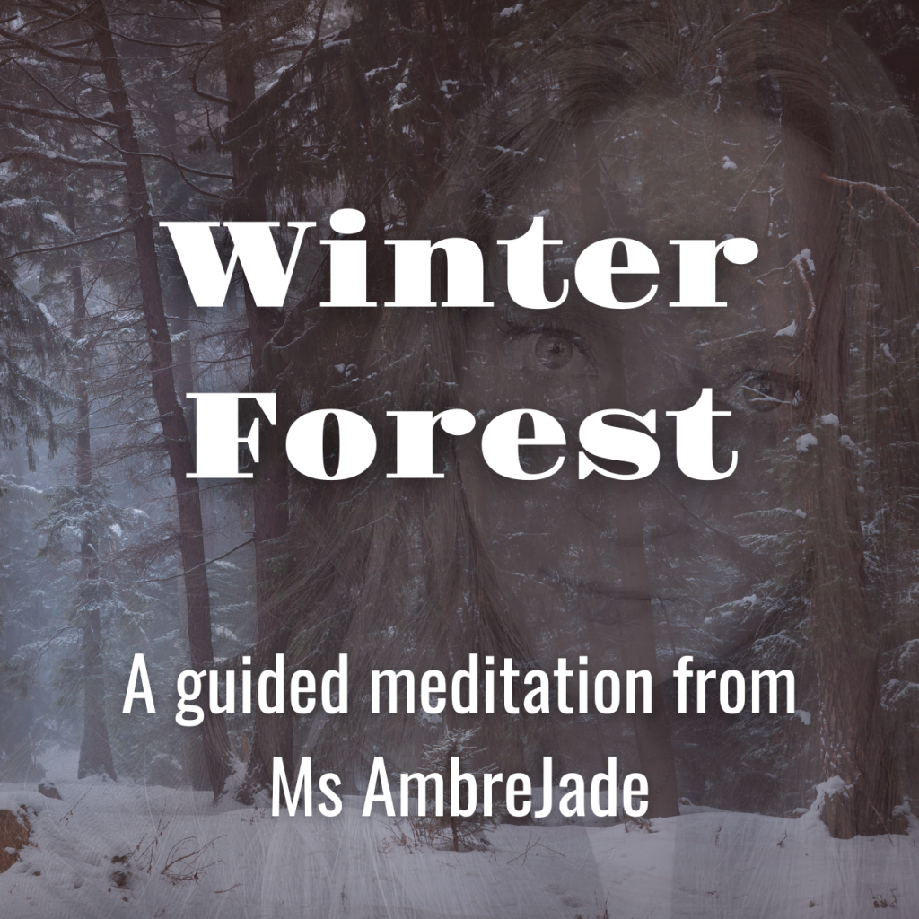 Winter Forest – A Guided Meditation